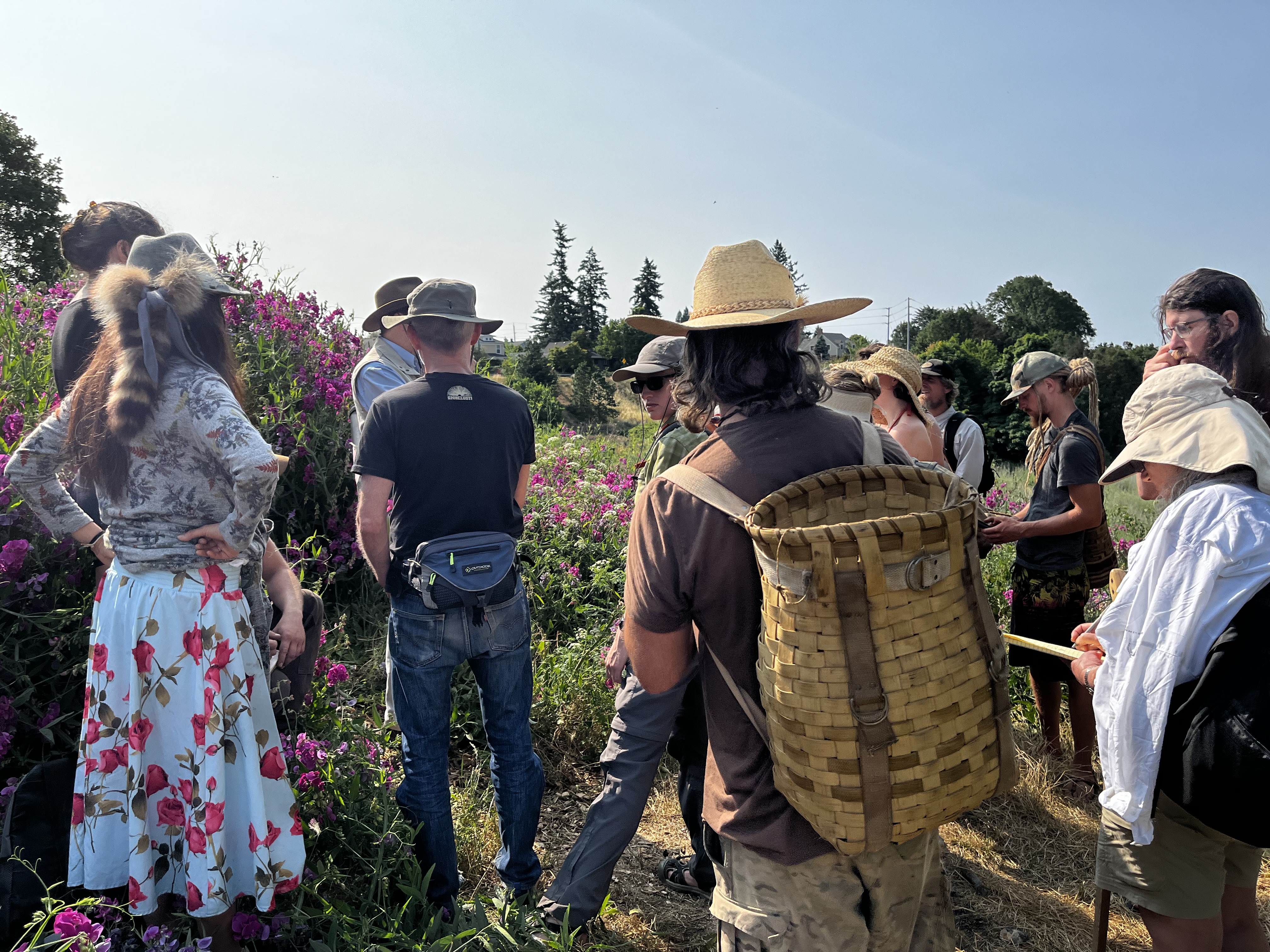 Edible and Medicinal Plant Identification Walks