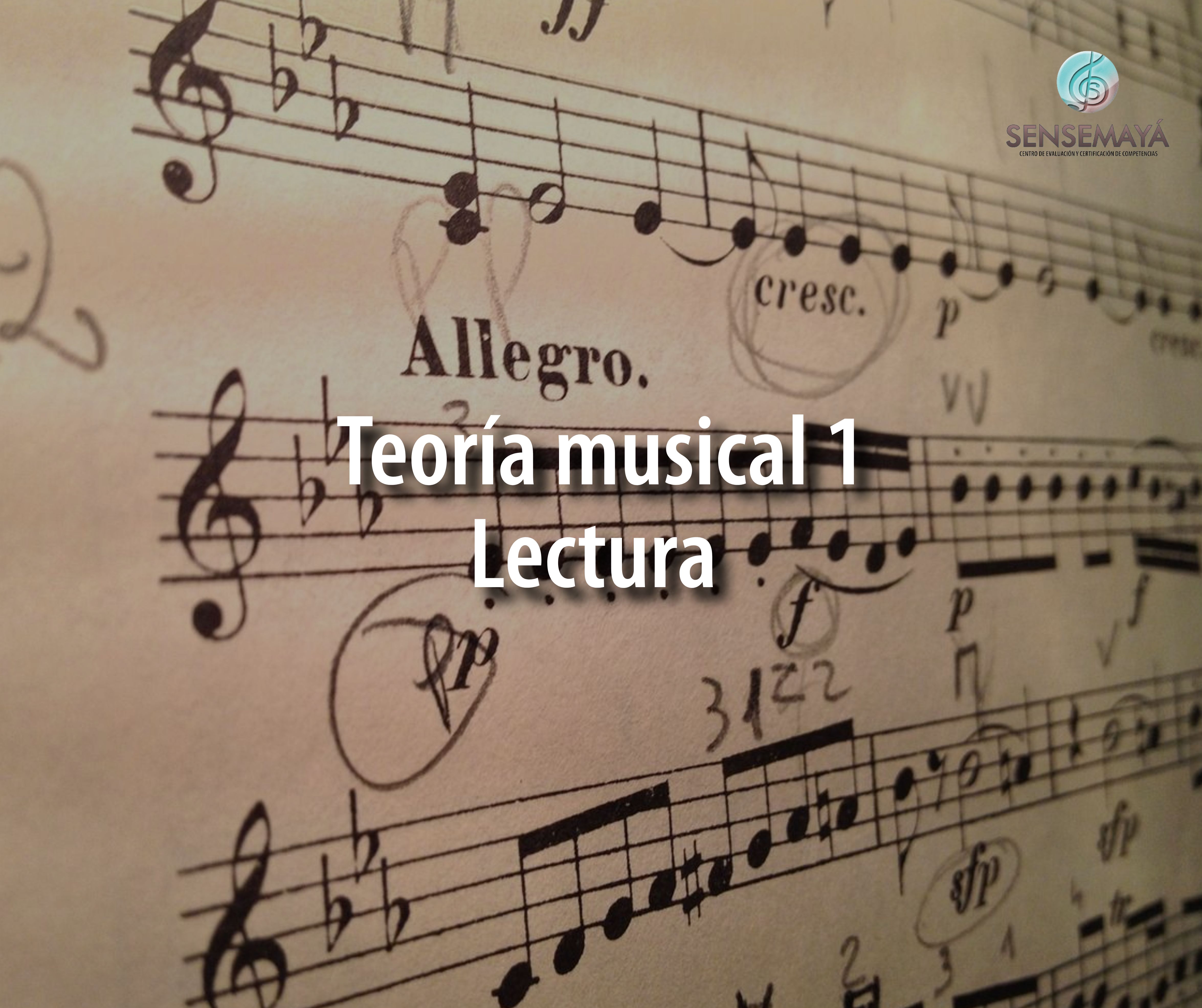 Teoría musical básica 1. La lectura de las notas