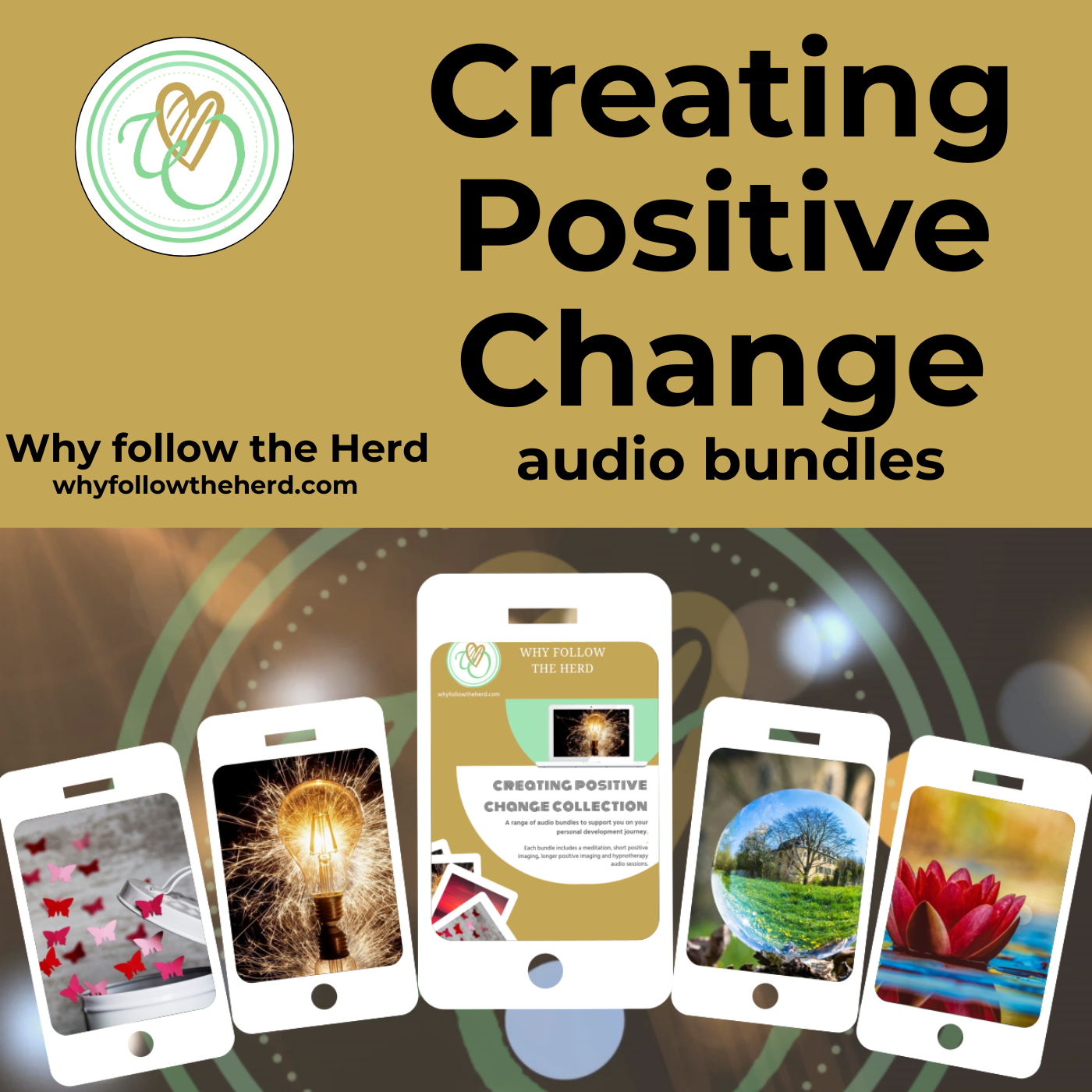 Creating Positive Change programme