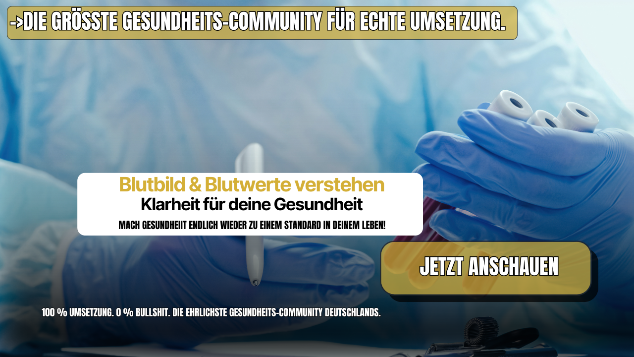 Blutbild & Blutwerte verstehen