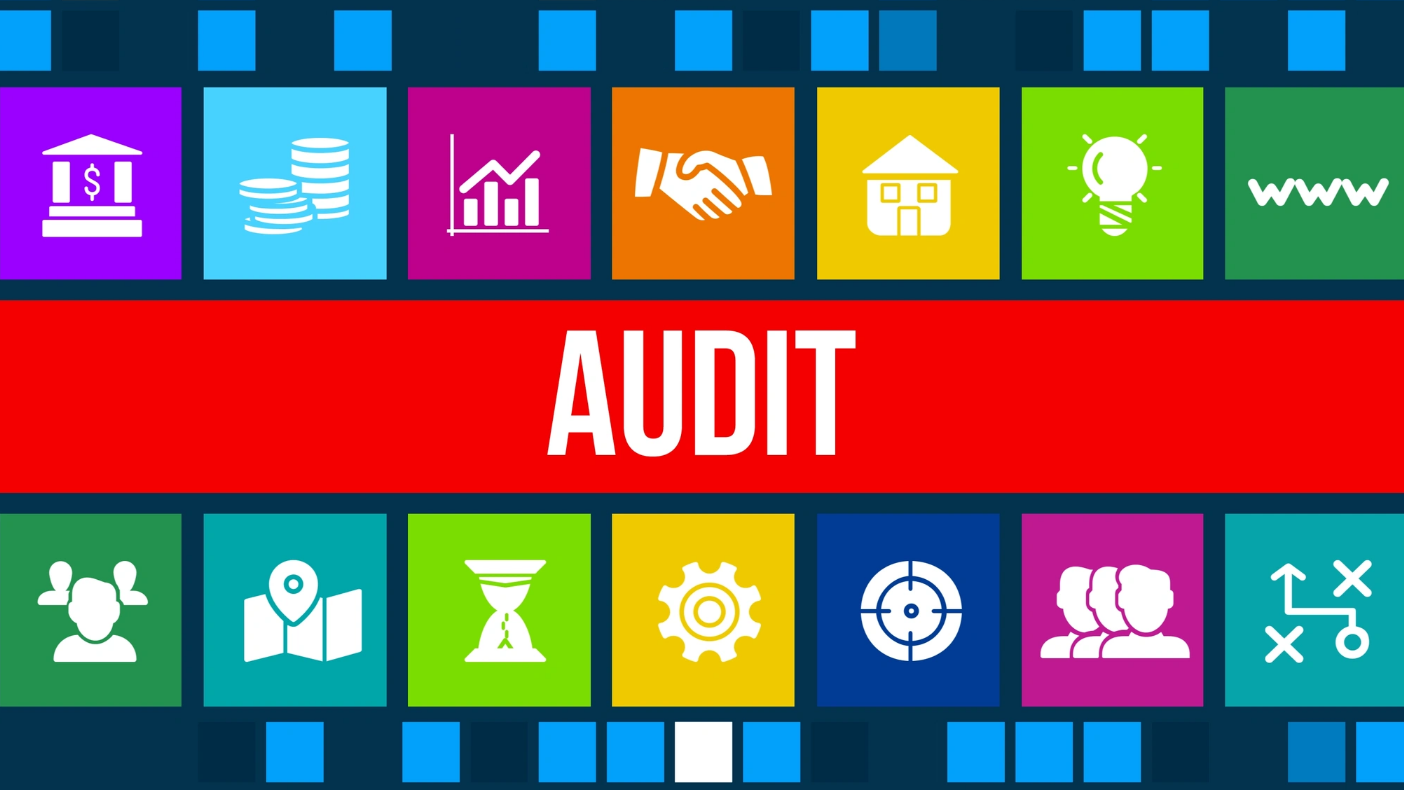 SaaS for Auditing