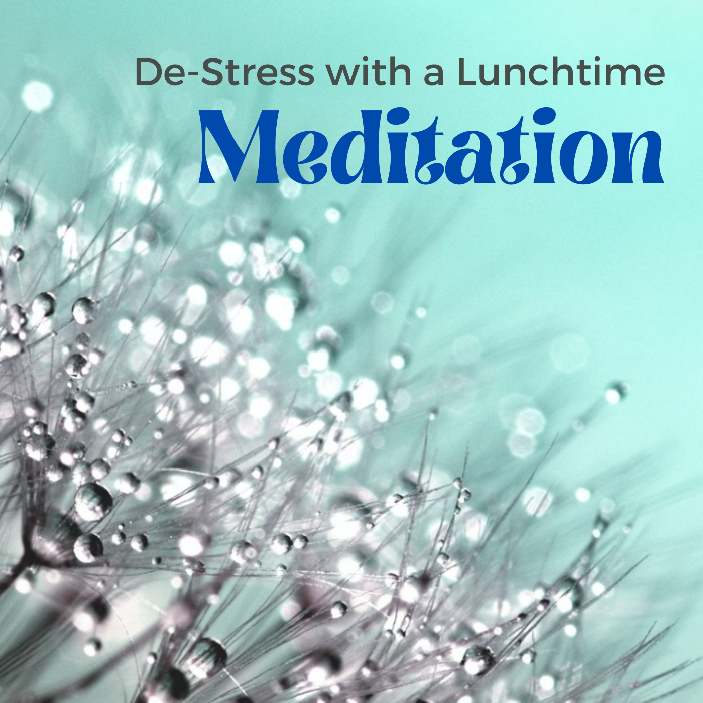 Lunchtime Meditations