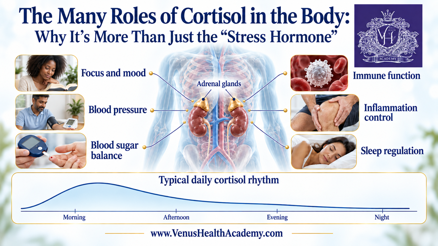 Diagram of the body showing how cortisol affects the brain, heart, metabolism, immune system, and sleep cycle.