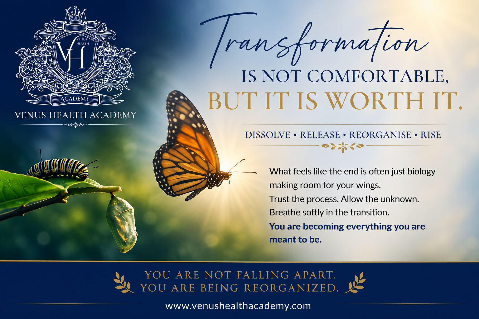 Transformation Is Not Comfortable, but It Is Worth It
